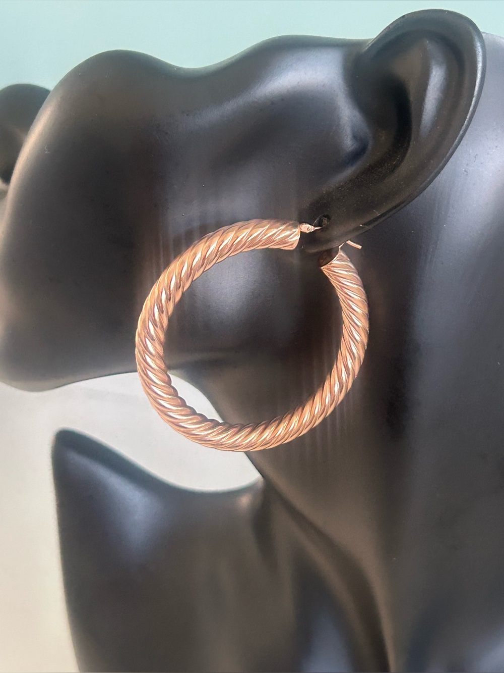 Twisted Rope Bronze Hoops